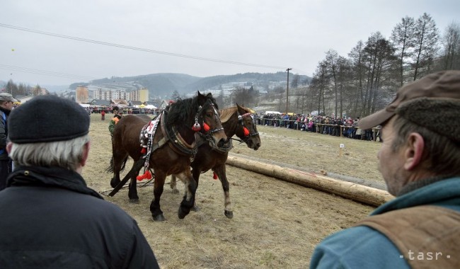 Zimná súťaž furmanov prilákala asi 2500 návštevníkov - 24hod.sk