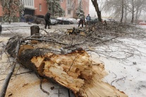 V Bratislave padali aj stromy
