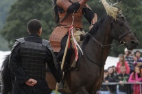 Exibičné vystúpenie koní v Trenčíne