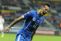 Slovenská futbalová radosť v obraze
