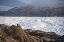Ľadovce v Grónsku