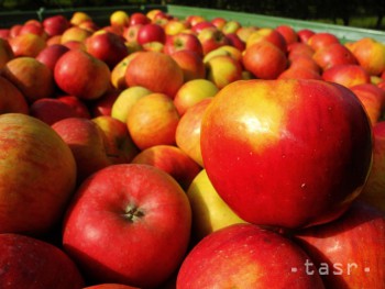 Lidl medziročne zlacnil jablká o 44 percent