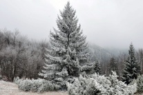 Zima v Slovianskej doline v regióne Turiec