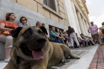Grécki penzisti sa dožadujú dôchodkov