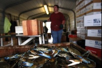 Svetový deň rybárstva