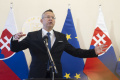 Kamenický: Ústavný súd by mal zvažovať dôsledky vyrovnaného rozpočtu