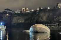 Mŕtva veľryba pri pobreží Sorrenta