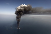 Dôsledky havárie ropnej plošiny British Petroleum
