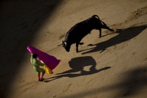 Býk a matador v akcii.