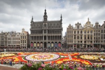 Kvetinový koberec v Bruseli 