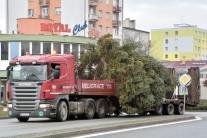 Inštalácia vianočného stromčeka v Trebišove