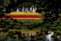 Najväčší kvetinový park v Európe zakvitol
