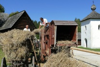 Dožinky v Múzeu slovenskej dediny