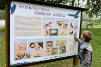 Košice Park Anička rekonštrukcia 