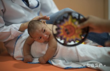 Zdravotníci odhadujú, že vakcínu proti vírusu zika vyvinú do roka