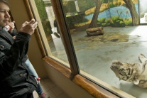 Deti z Ukrajiny na návšteve v bratislavskej zoo