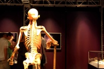 Výstava Human Body Bratislava