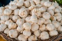 Čo vysadiť v záhrade na jeseň? Teraz je čas na cesnak aj cibuľu