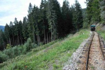 Lesná úvraťová železnica