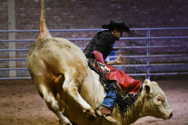 Súťaž v Bull ridingu